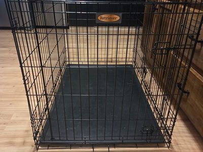 Large dog kennel