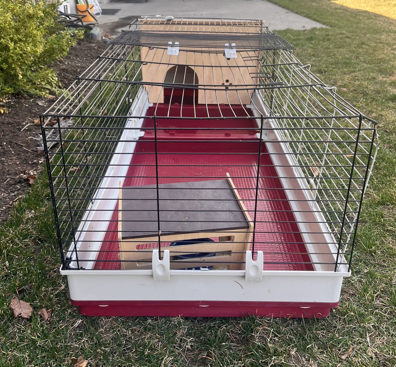 Rabbit Enclosure