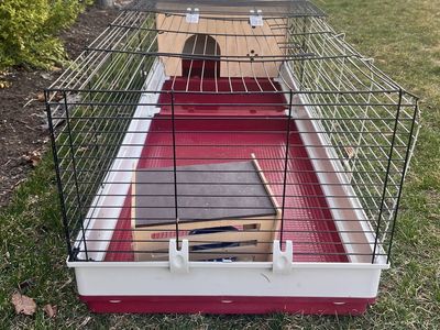Rabbit Enclosure