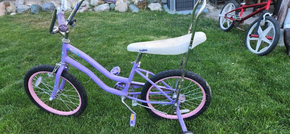 Montana 20-inch Girls Purple Bicycle with Pink Wheels
