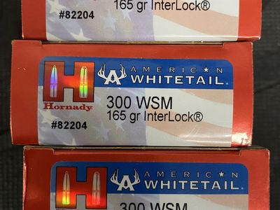 Hornady American Whitetail 300 WSM 165 gr InterLock Ammunition