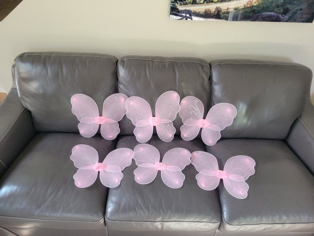 6 Fairy Wings