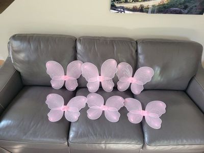 6 Fairy Wings