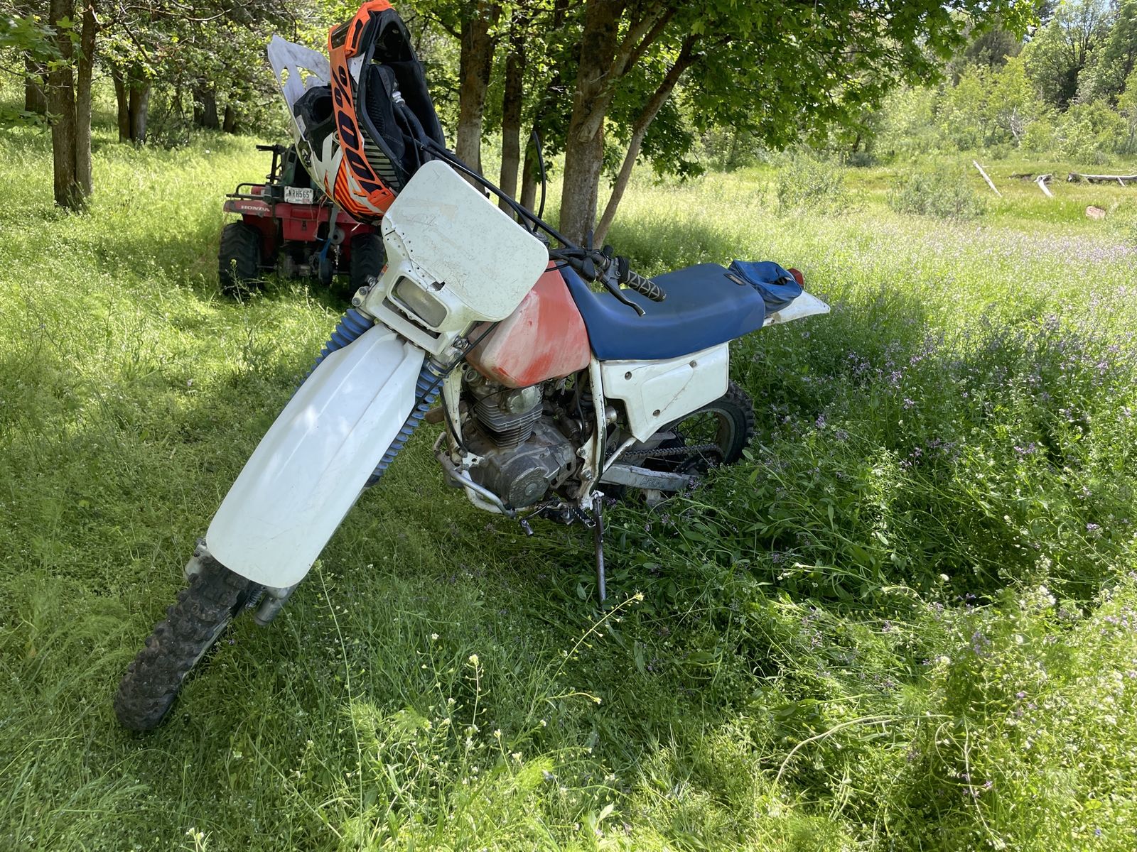 1987 XR 200