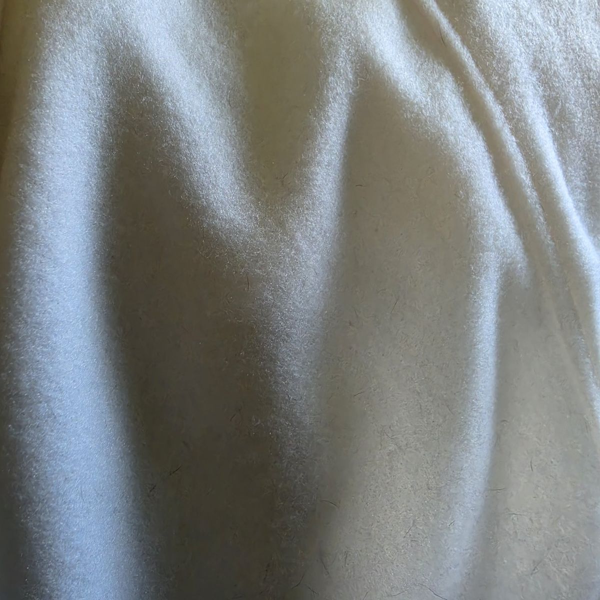 Main image 5