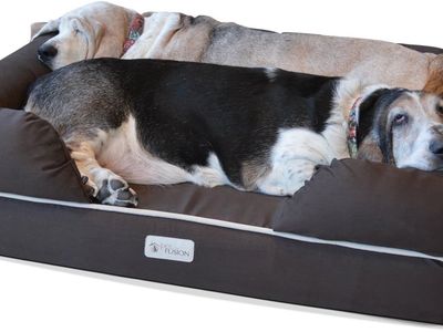 New PetFusion Large Dog Bed 36x28 Brown Memory Foam