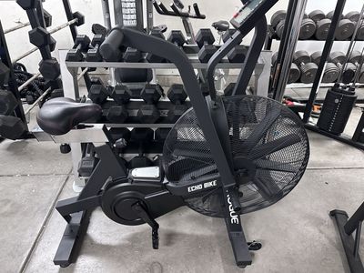 Rogue Echo Bike V2.0 Excellent Condition