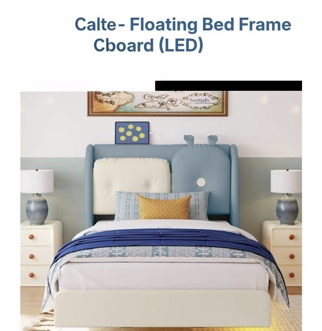 L.E.D  BED FRAME