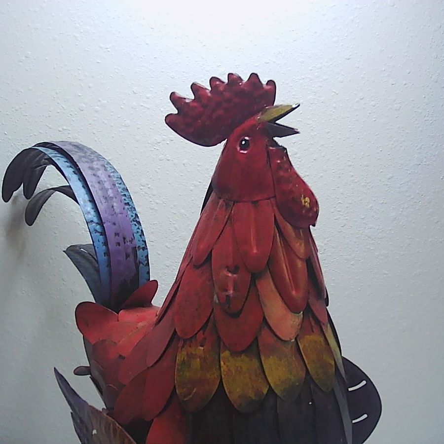 Main image 6