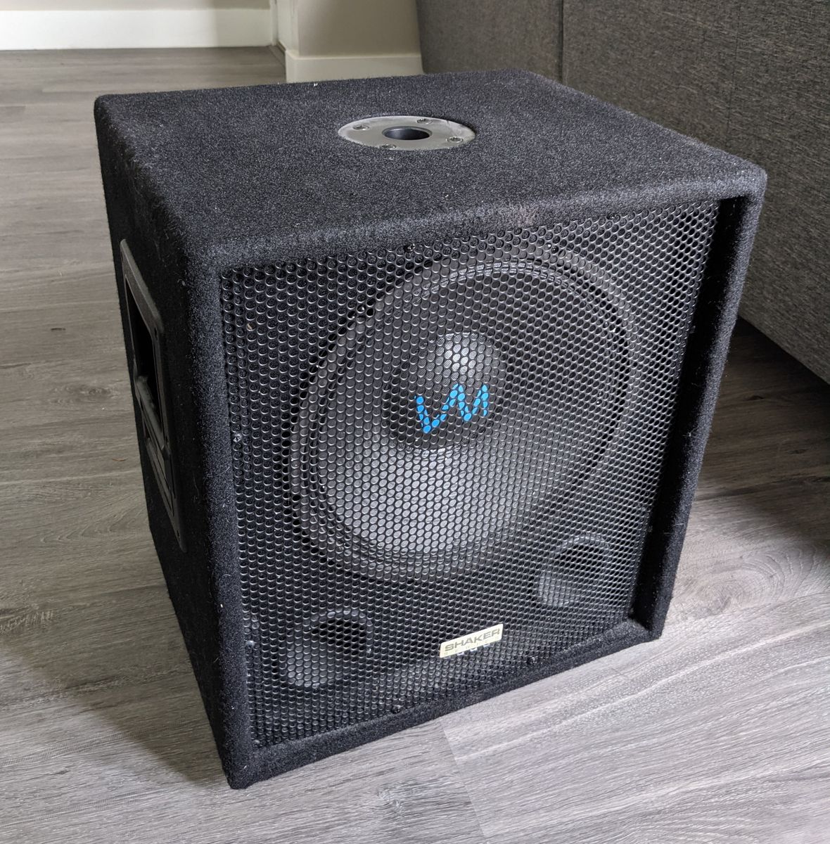 12" Passive DJ Subwoofer