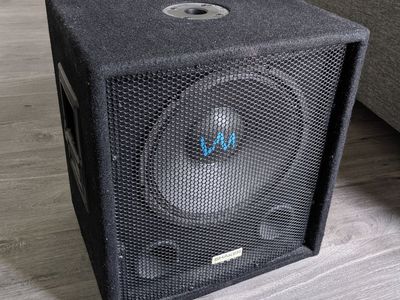 12" Passive DJ Subwoofer