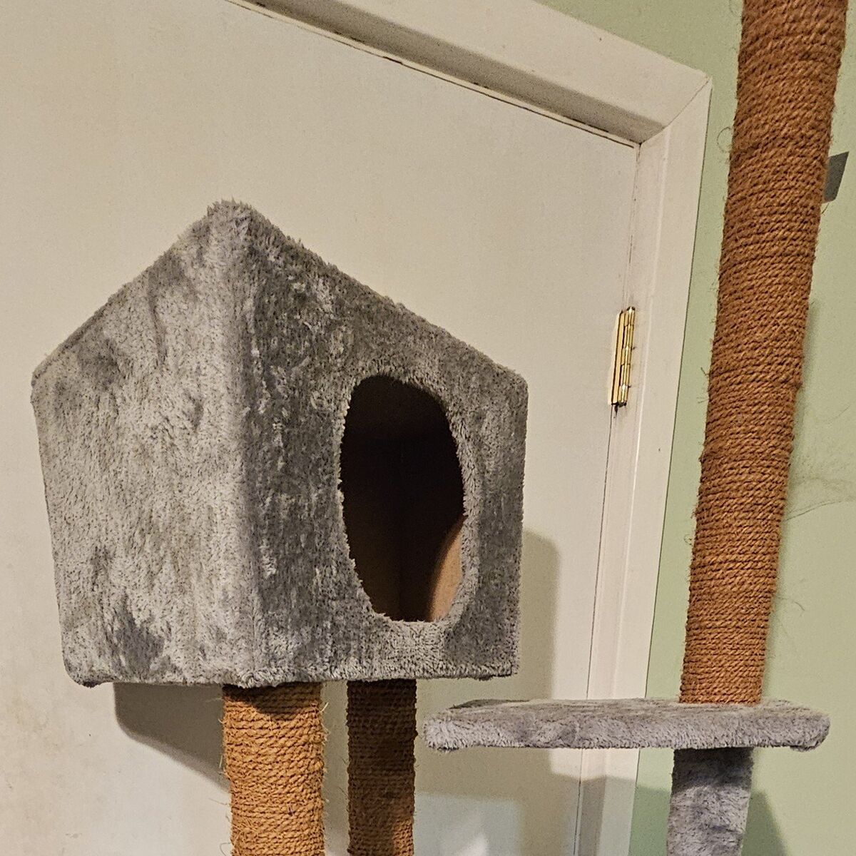 cat tree