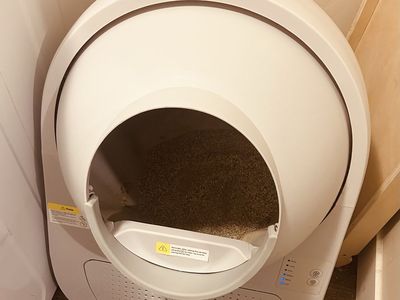 Self Cleaning Litter Box