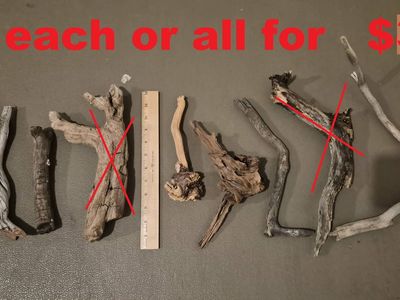 Small Aquarium Wood Pieces