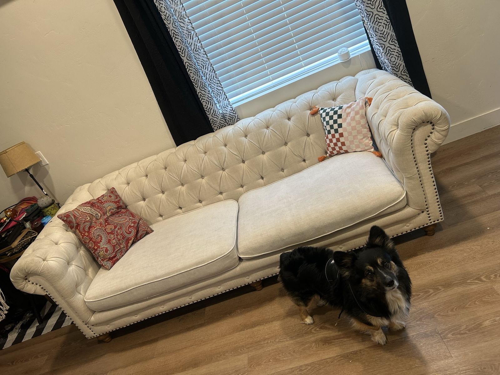 West Elm Couch