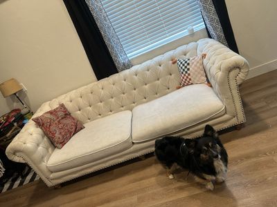 West Elm Couch