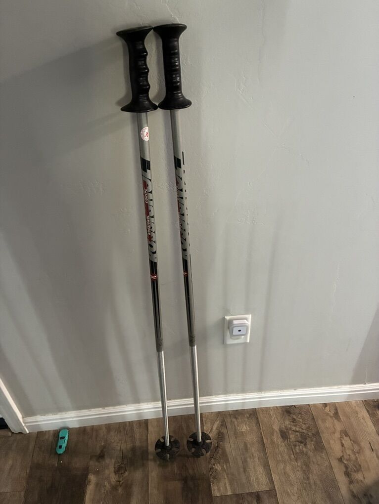 120 Cm 48 Inch Rossignol Ski Poles