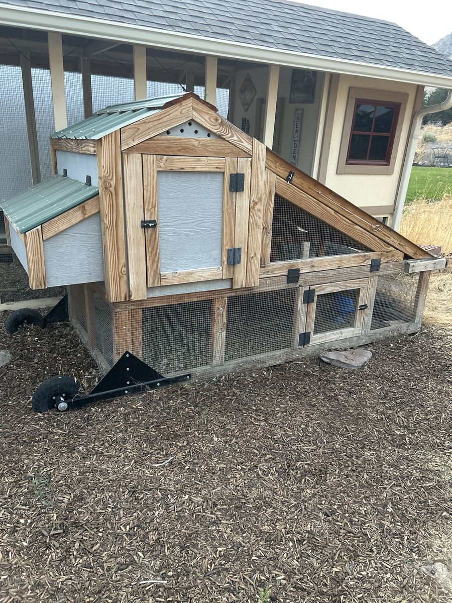 Chicken Coop 