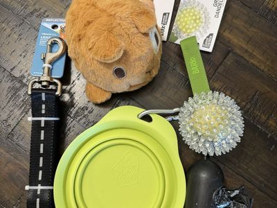 dog supplies