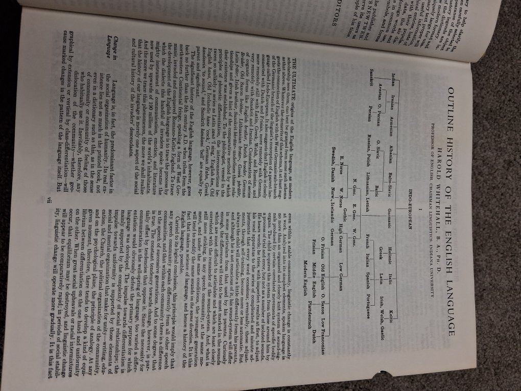 Main image 7