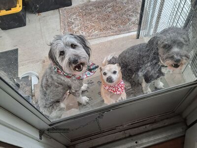 2014 NISSAN VERSA NOTE SV