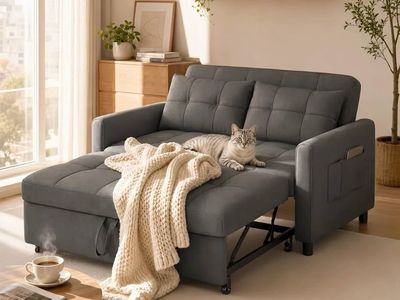 Gizoon Loveseat Sleeper Sofa 71.7" Extended 3-in-1