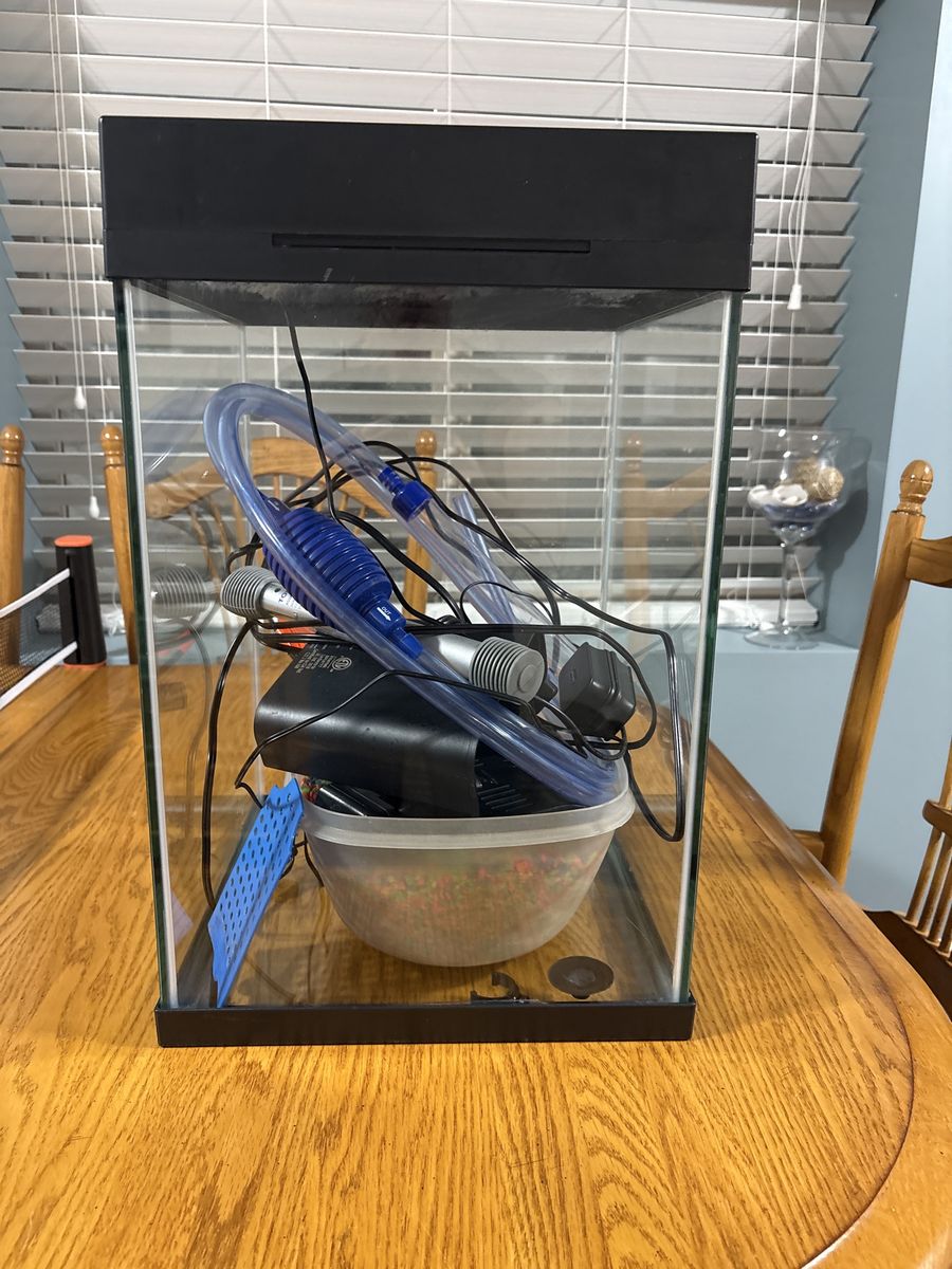 10 Gallon Fish Tank with Everything Included