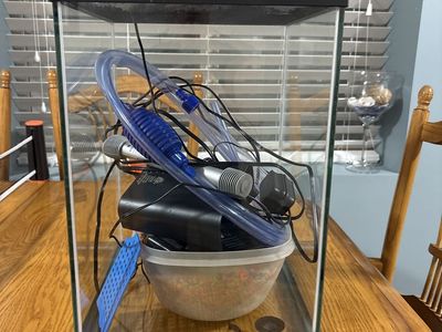 10 Gallon Fish Tank with Everything Included