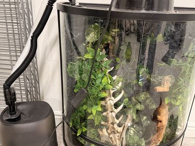 Exo Terra Half-Moon Terrarium with Humidifier and Heat Lamp