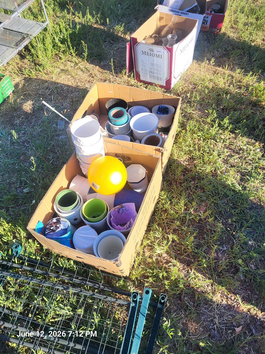 Free...plants pots mug glasses vases n many morr