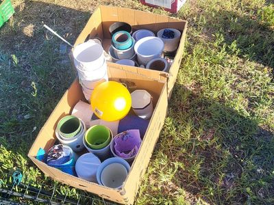Free...plants pots mug glasses vases n many morr