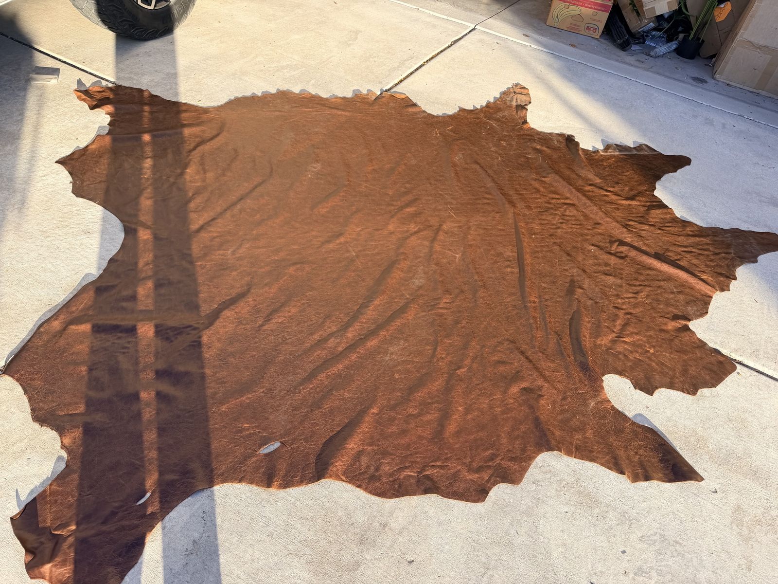 New. I Have 7 Of These Tanned Cow Hides. $200 Each