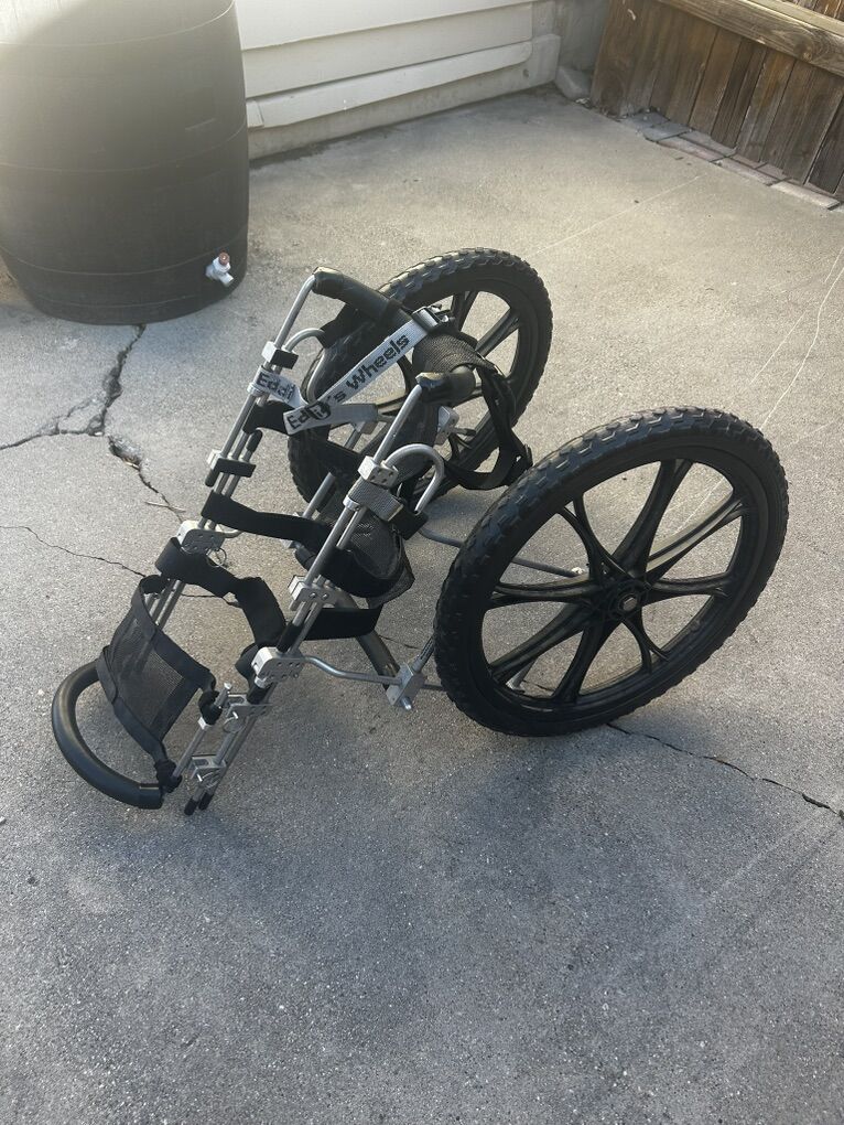 Dog Wheelchair