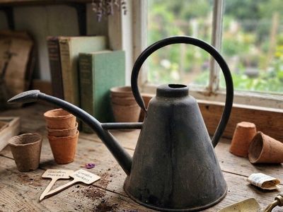 Vintage Black Metal Watering Can