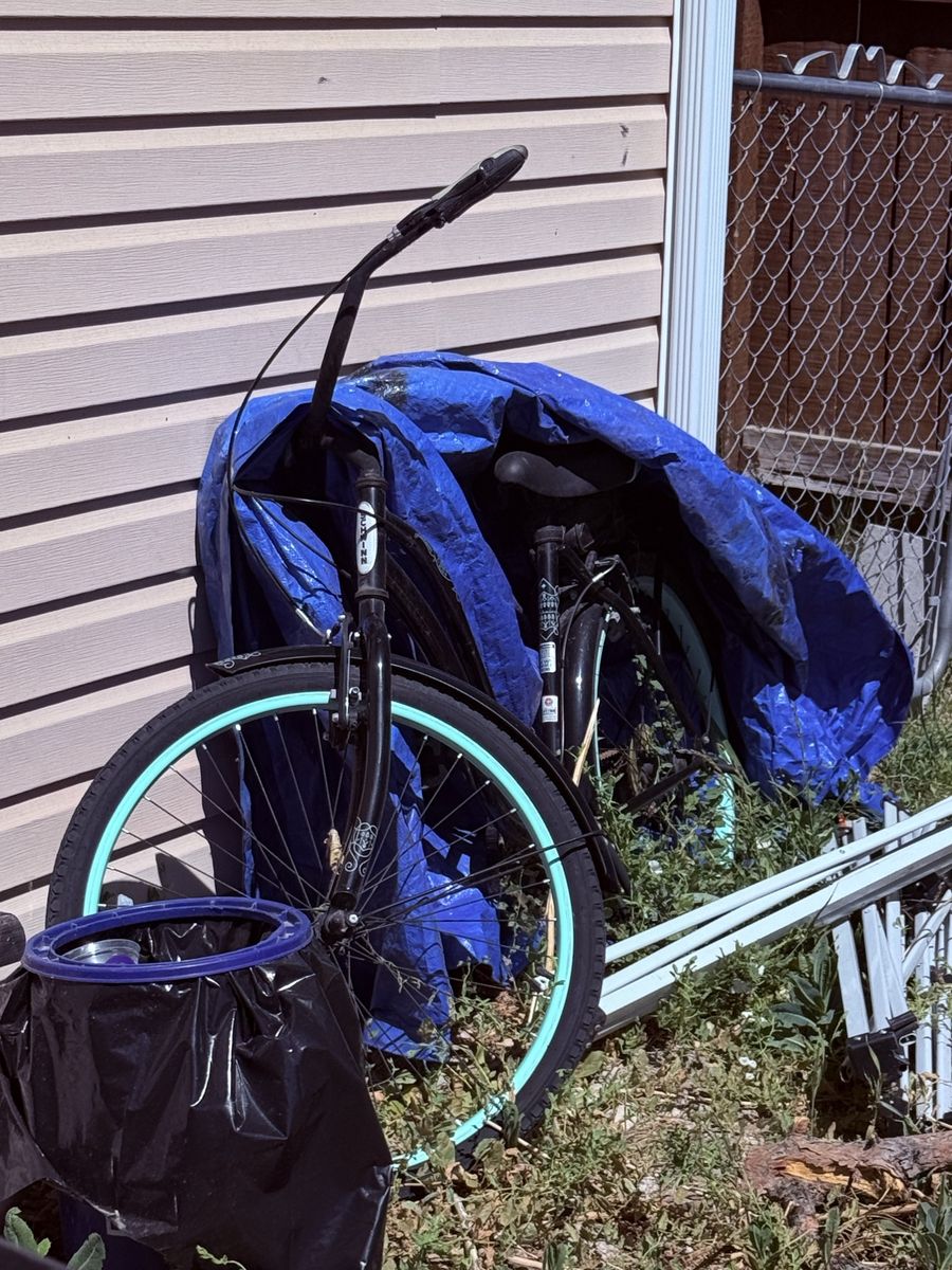 Cruiser bike