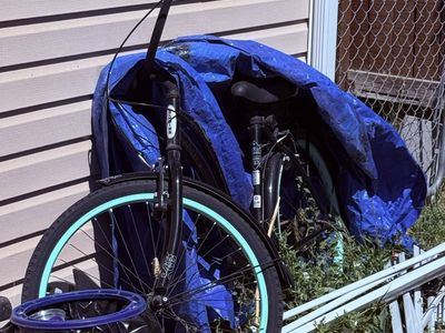 Cruiser bike