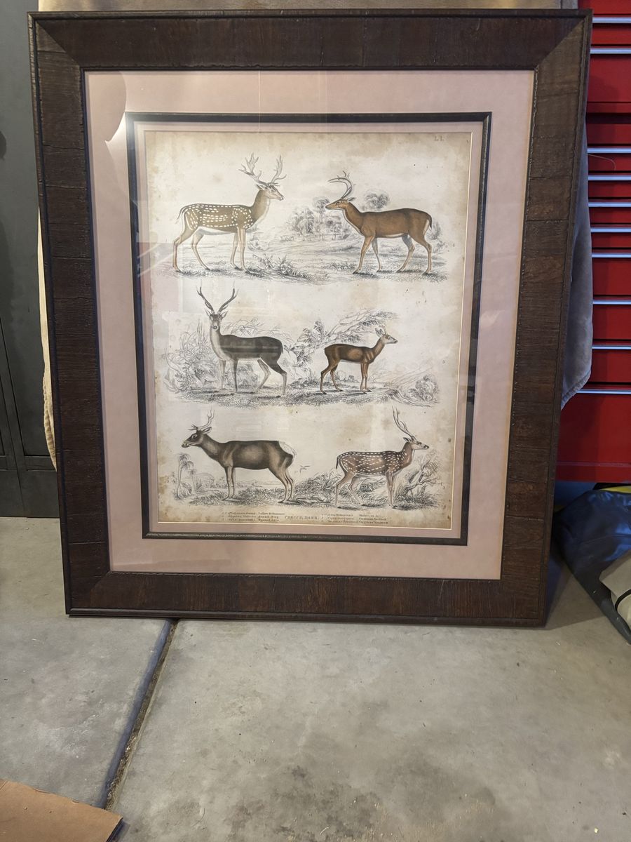 2 beautiful wood framed pictures