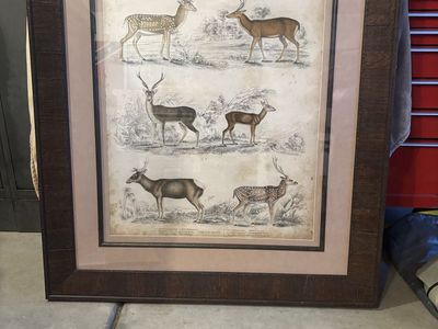 2 beautiful wood framed pictures