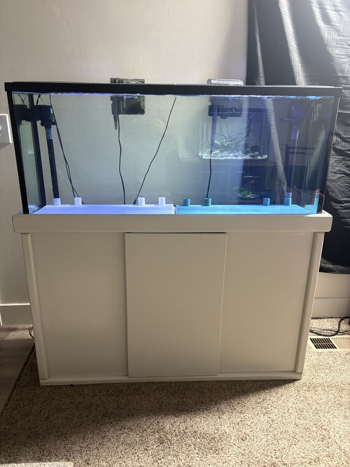 55 gl aquarium/stand/filter system
