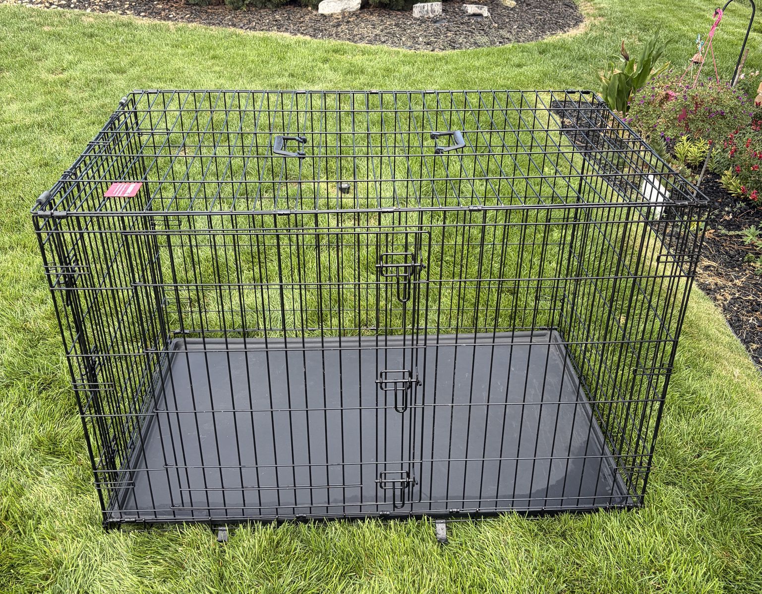 2-Door XL 48" Black Wire Dog Kennel with Tray (48" x 29" x 32.5")
