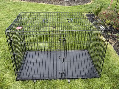 2-Door XL 48" Black Wire Dog Kennel with Tray (48" x 29" x 32.5")