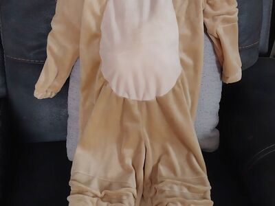 Costumes for a 4 year old boy