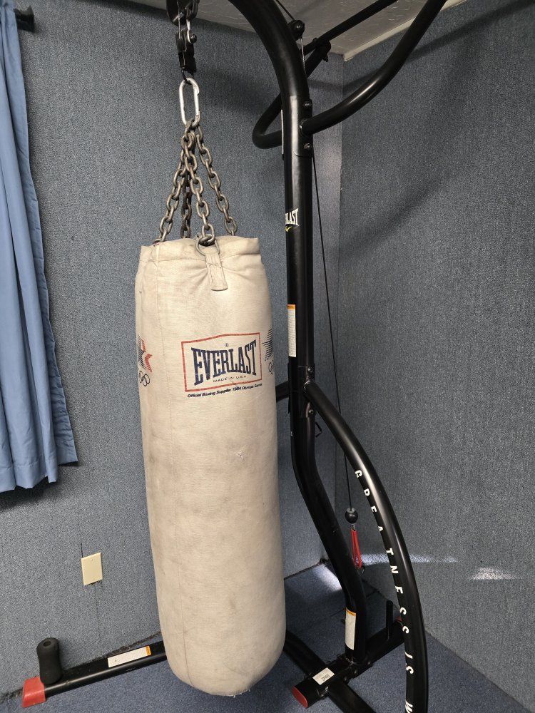 Everlast Punching Bag and Stand, with Pull-up Bar