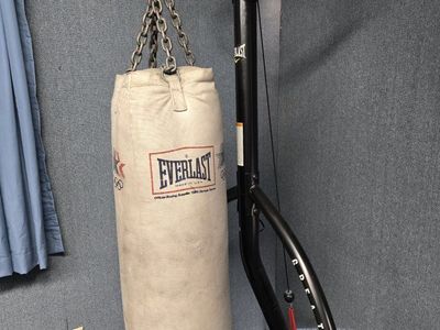 Everlast Punching Bag and Stand, with Pull-up Bar