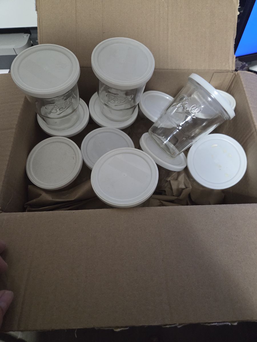 Vintage ball mason freezer jars