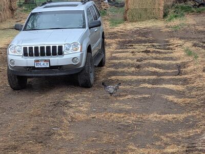 2006 JEEP GRAND CHEROKEE Limited