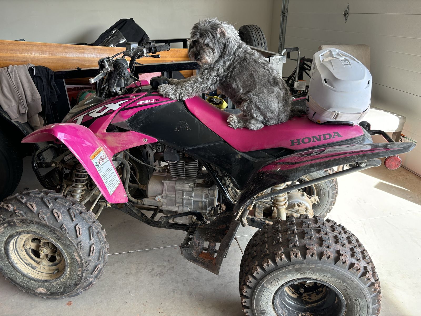 Honda TRX250