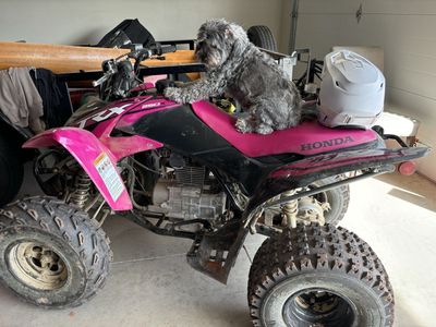 Honda TRX250