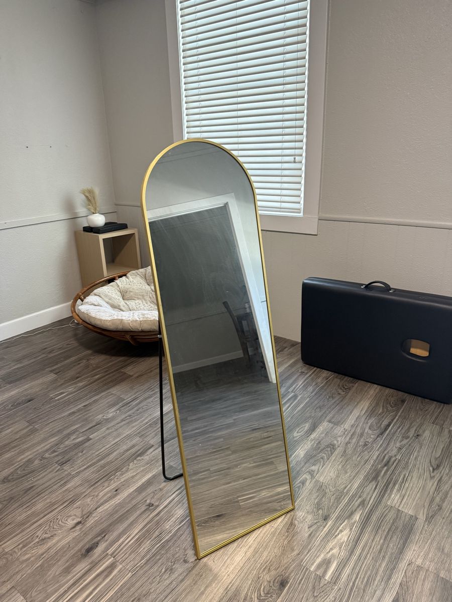Mirror and pull up bar