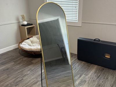 Mirror and pull up bar